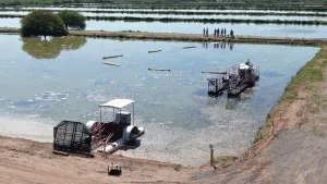 comienza-la-segunda-etapa-la-obra-limpieza-lagunas-el-pongojpg