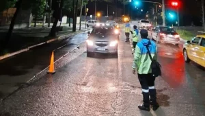 controles-seguridad-el-carnavaljpg