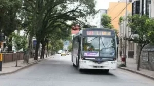 colectivos-jujuy_416x234