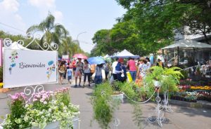 paseo-de-las-plantas-4-1024x627