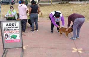 Vacunacion-mascotas-3