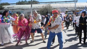 Proyecto-puente-bienvenida-primavera-3-1-768x431