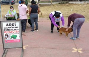 Vacunacion-mascotas-3-768x492