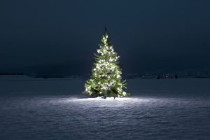 Illuminated christmas tree on the snow at night