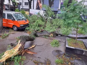 temporal-tormentas-destrozos