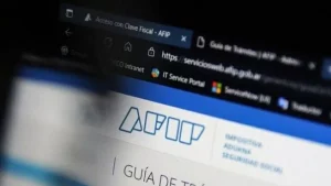 afip-portadajpg