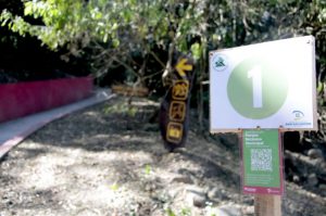 47288-ya-podes-visitar-el-parque-botanico-municipal