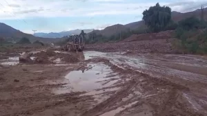 temporal-jujuy-estado-las-rutas