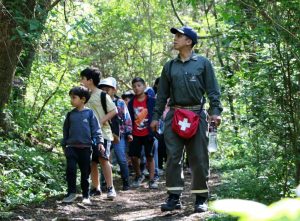 yunguerito-en-parque-botanico3-1024x756