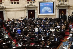 diputados-ley-basesjpg