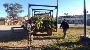 espacios-verdes-alto-comedero-1024x576