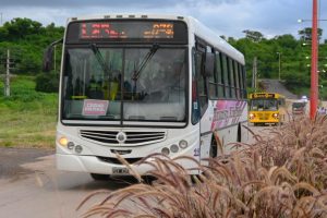 transito-carnaval-cultural-2-1024x683