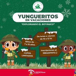 yungueritos