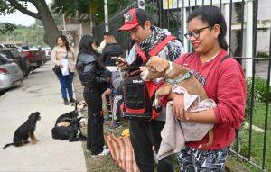 zoonosis-castracion-en-el-concejo17945734863079577568.-1024x652