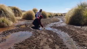 control-calidad-y-cuidado-del-agua-agua-potable-realizo-capacitacion-tres-crucesjpg