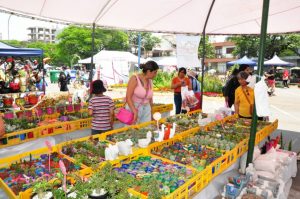 paseo-de-las-plantas-1024x680