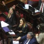 En un final inesperado, el Senado rechazó Ficha Limpia