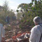 Confirmaron que los restos óseos hallados en Fraile Pintado son de Tamara Fierro