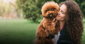AdobeStock_280001606-reduce-1-2-1024x528