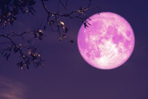 luna_llena_fresa
