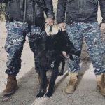 Perro de la Policía de Jujuy ayudó a rescatar a dos personas perdidas en Tilcara