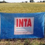 INTA: Temen por despidos masivos en Jujuy y Salta