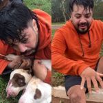 Dos Pitbulls lo atacaron y se salvó gracias a las Artes Marciales