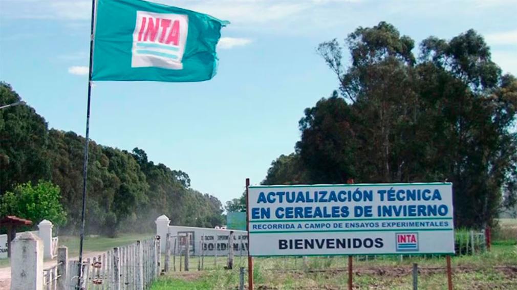 inta