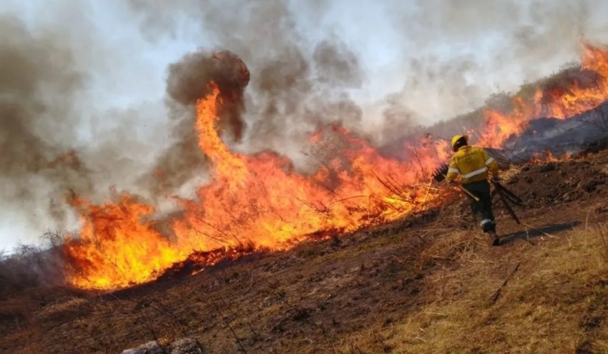 20220910122611_incendios-jujuy-1jpg