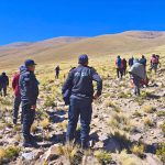 Se refuerzan las acciones contra la caza furtiva de vicuñas en la Puna jujeña