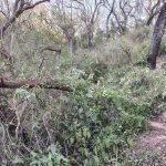 Cierre preventivo de senderos en el Parque Botánico