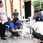 Continúa la campaña de vacunación antirrábica en distintos barrios de la ciudad