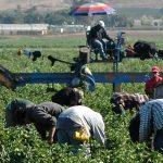 Tras allanamientos en Corrientes, rescataron a trabajadores en situación de explotación laboral