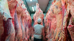 carne