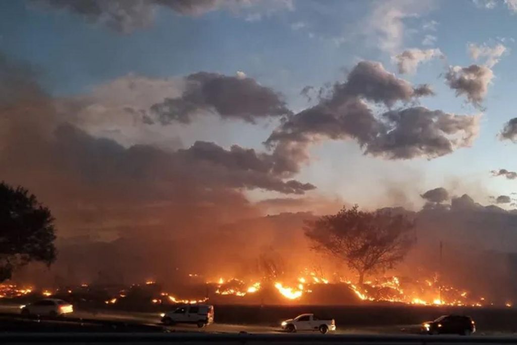 incendio-grave-jujuy-300-hectareas-pastizales-quemadas-viviendas-perdidas-1095765-084107