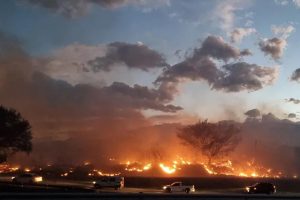 incendio-grave-jujuy-300-hectareas-pastizales-quemadas-viviendas-perdidas-1095765-084107