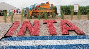 inta