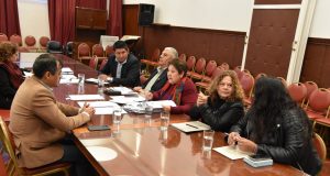 comision educacion