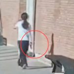 Mendoza: una nena de 14 años ingresó armada a un colegio, realizó disparos y se atrincheró