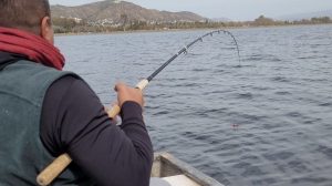 pesca